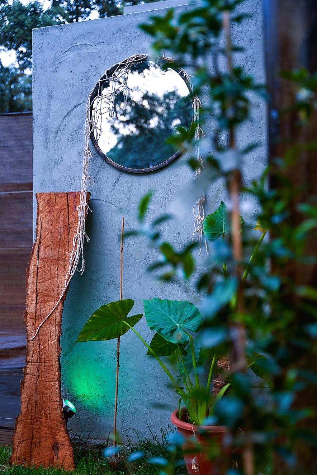 Cabana Rural El Arbol Near Setenil - Ronda Con Piscina Dış mekan fotoğraf
